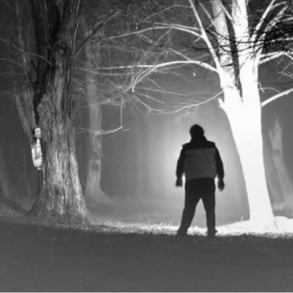 25 10X13 Midnight Creeps Poly Mailers PRICE FIRM Fall - Picture 3 of 15